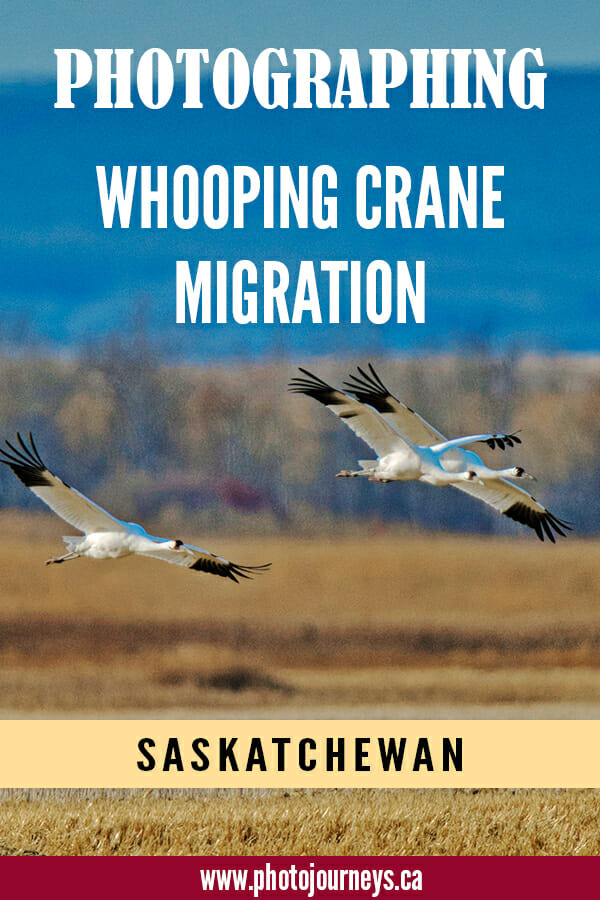 PIN for Whooping Crane migration