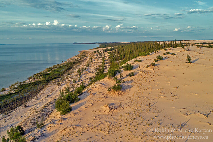 Athabasca Sand Dunes