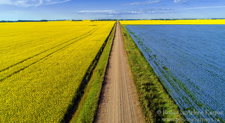 Canola and flax, Saskatchewan