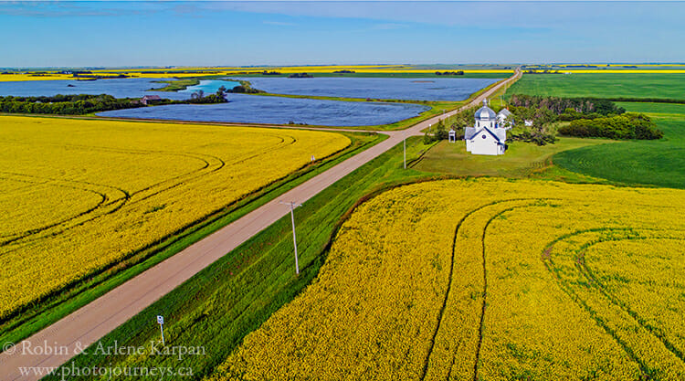 Canola field, Saskatchewan