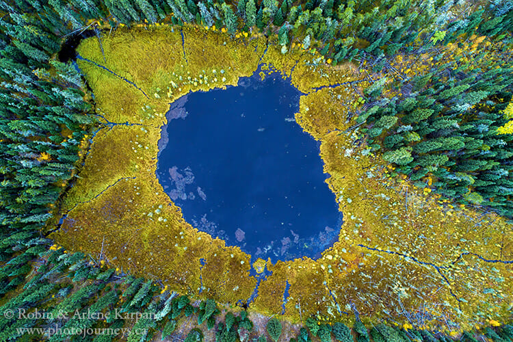 Bog, Narrow Hills Provincial Park, Saskatchewan