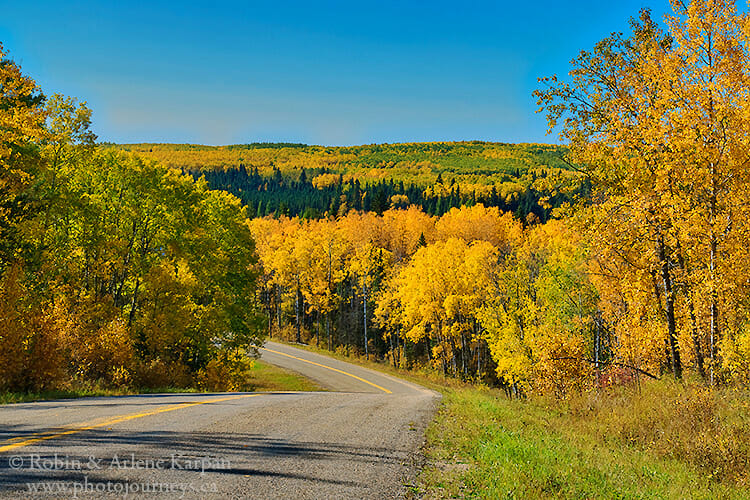 Fall colours, great Blue Heron Provincial Park, Saskatchewan
