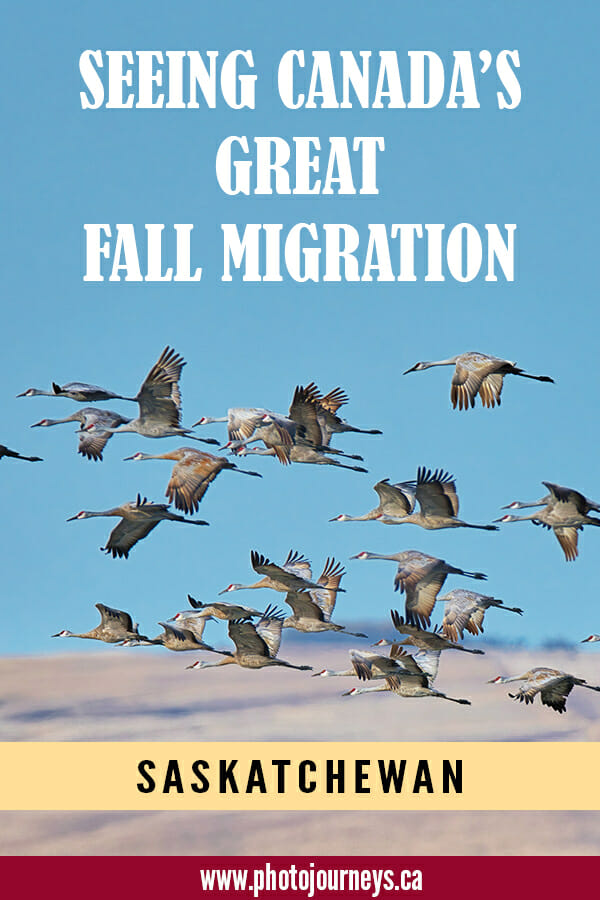 PIN for Fall migration