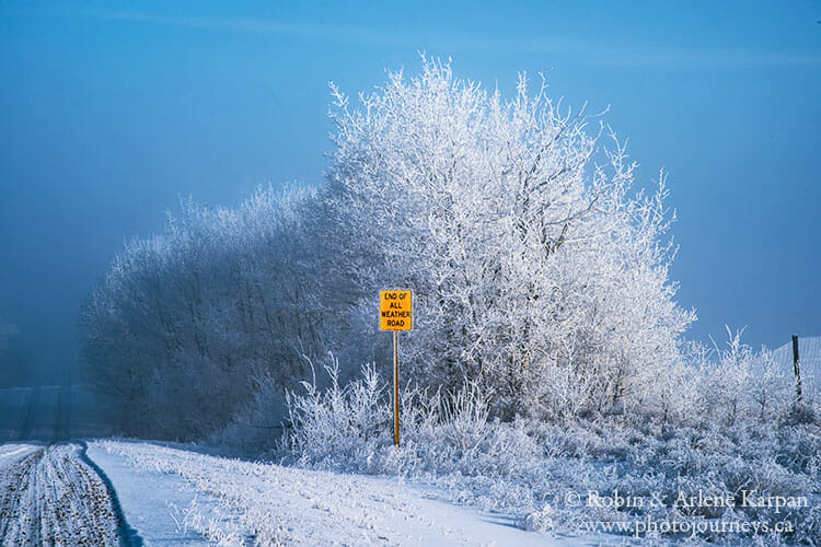 Hoarfrost, Saskatchewan, winter photography