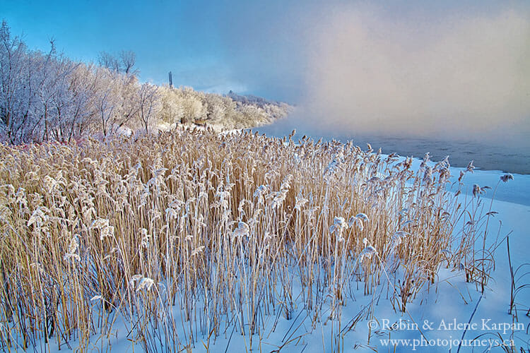 Saskatoon riverbank in winter