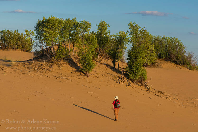 Sand dunes, Douglas Provincial Park, Saskatchewan