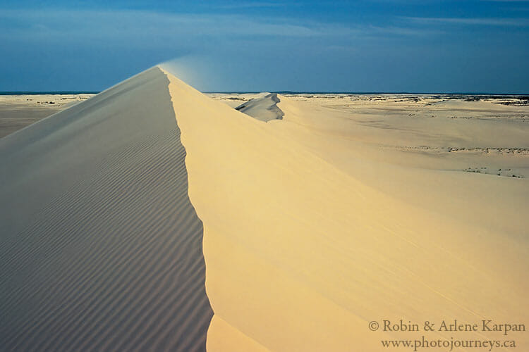 Athabasca Sand Dunes, Saskatchewan