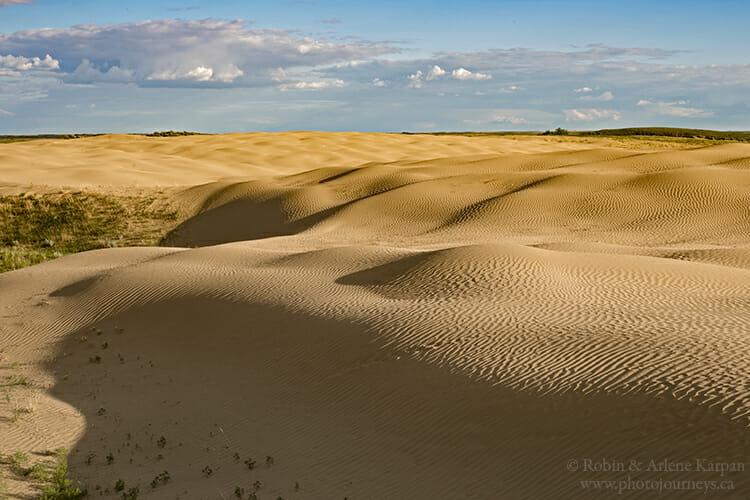 Great Sand Hills, Saskatchewan