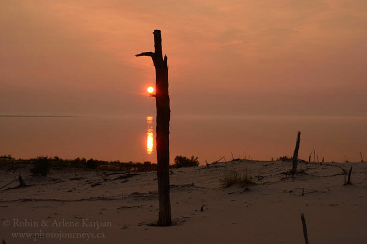 Smoke, Lake Athabasca, SK