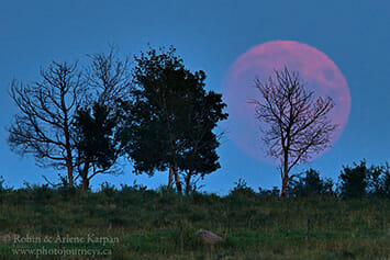 Moon rise in smoky conditions, Saskatchewan