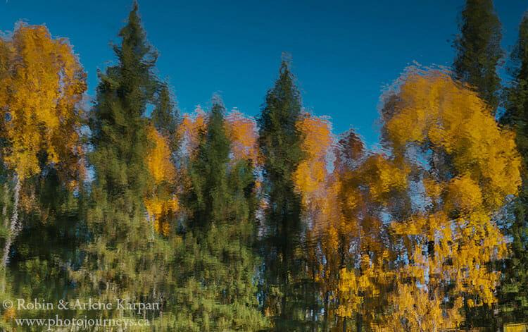 Fall colours, Prince Albert National Park