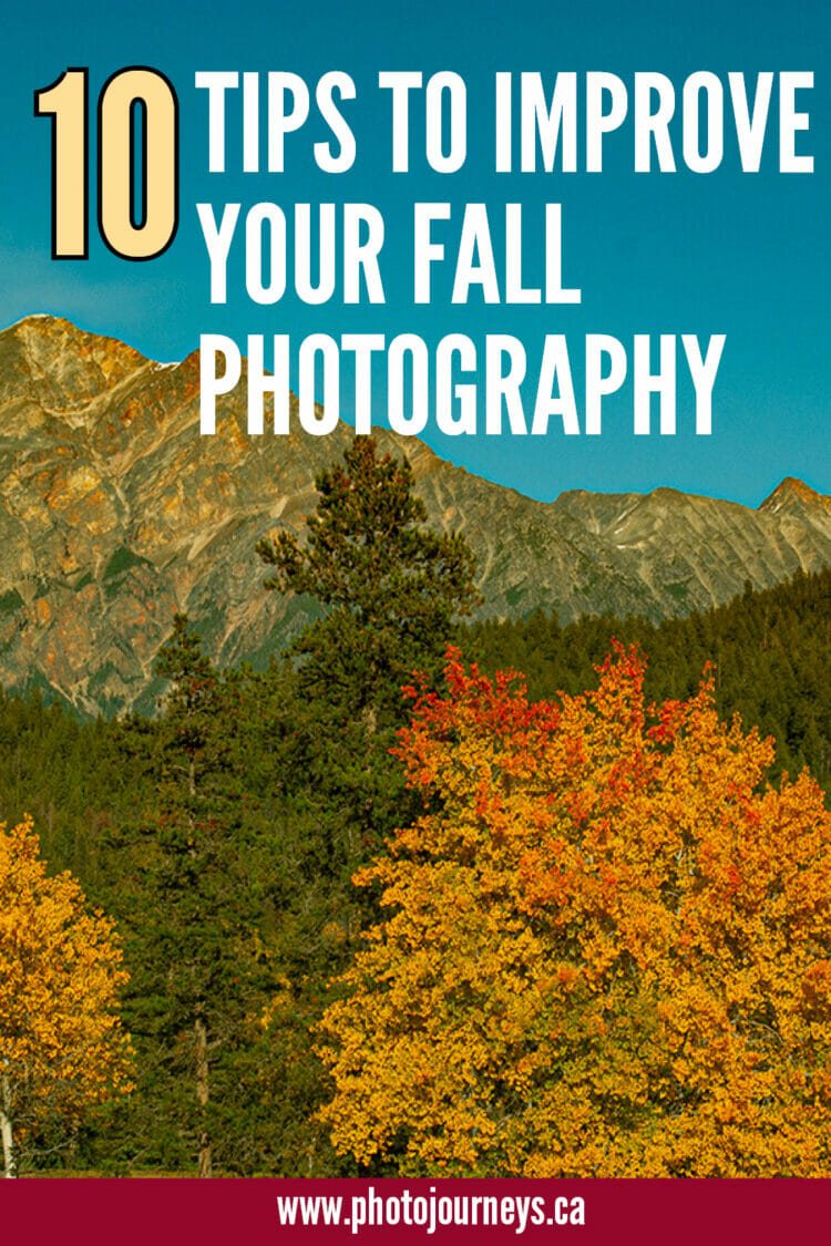 PIN for improving fall photography