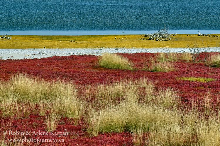 Saline Lake, Blaine Lake, Saskatchewan