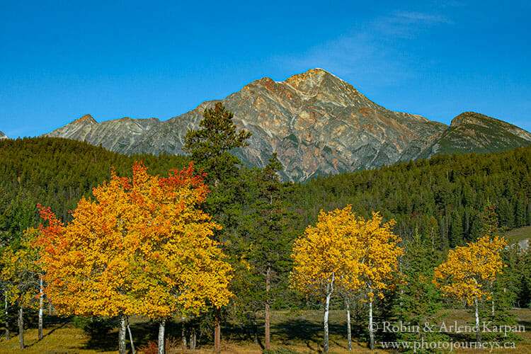  Jasper National Park