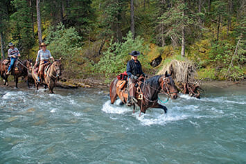 Crossing creek on Trail Ridge, Banff National Park