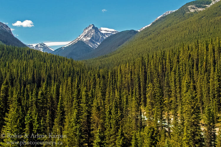 Banff backcountry scenery