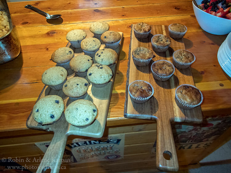 Muffins, Sundance Lodge, Banff National Park