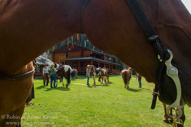 Banff Trail Riders at Sundance Lodge, Banff National Park