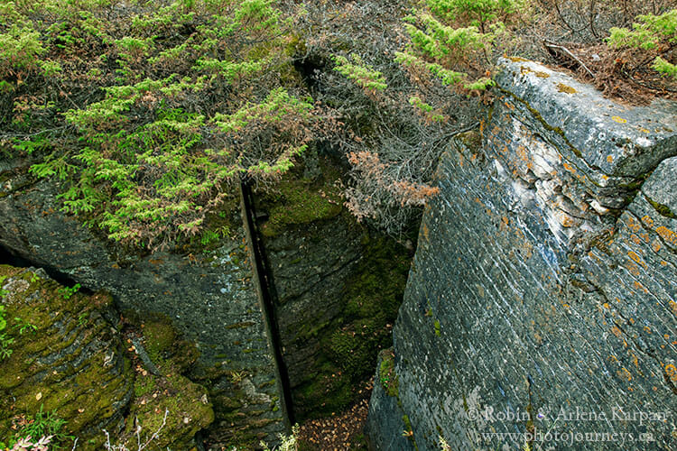 Limestone crevices