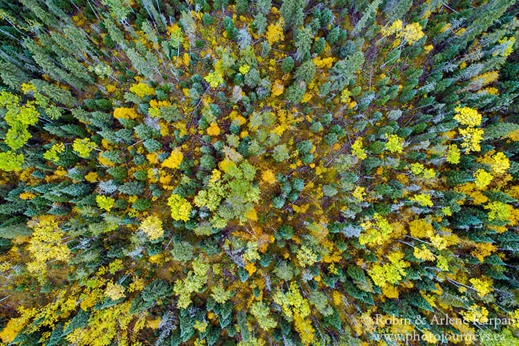 Fall colours using drone, Narrow Hills, Saskatchewan