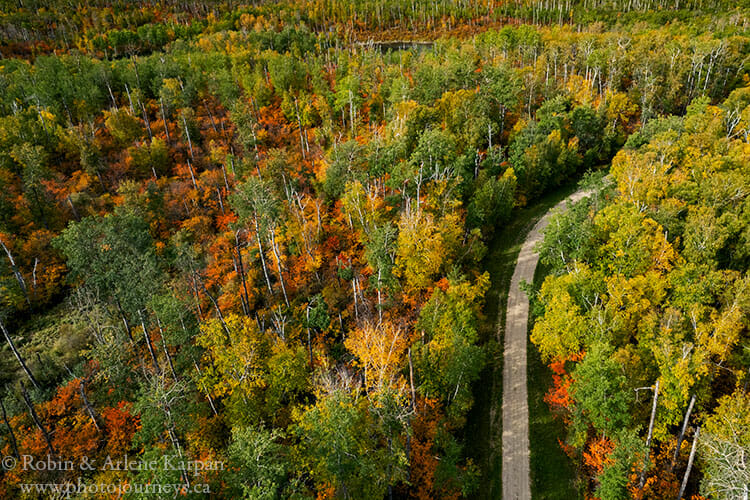 Fall colours, Duck Mountain, Saskatchewan