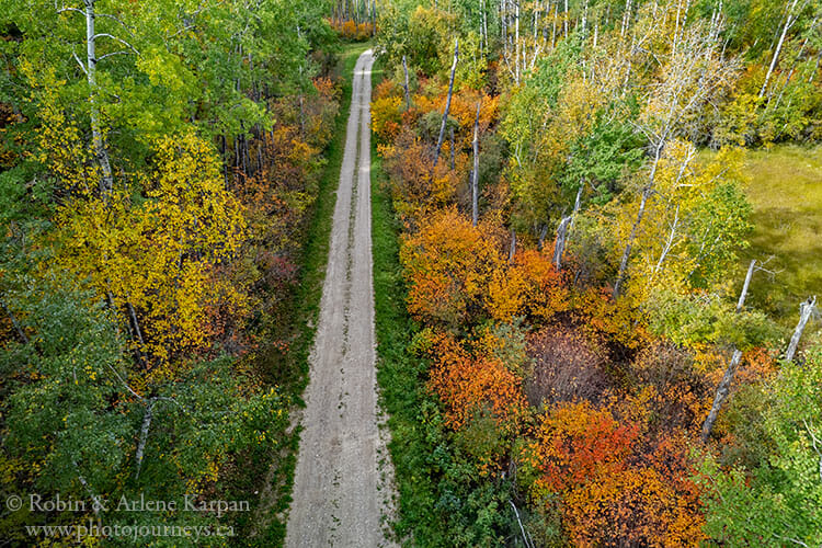 Fall colours, Saskatchewan