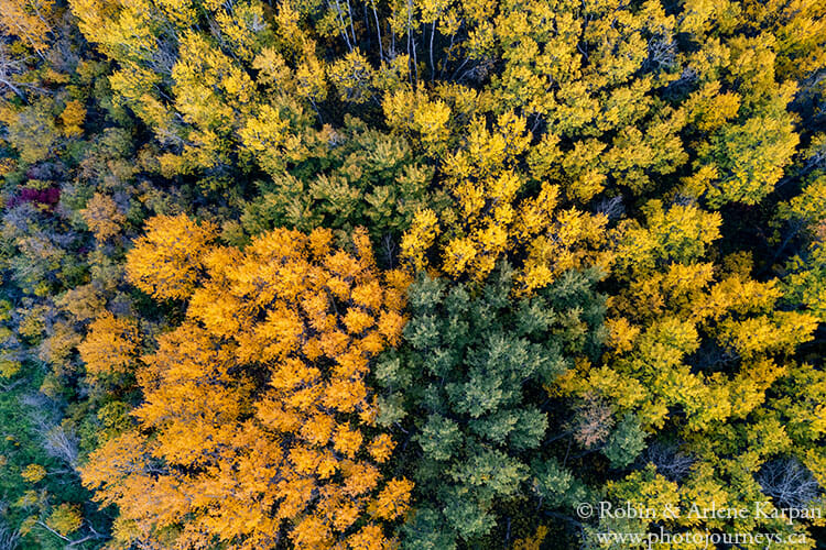 Fall colours, Saskatchewan