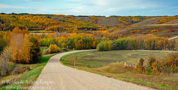 Fall colours near Battleford, Saskatchewan