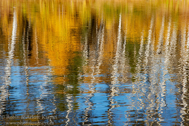 Fall colours, Saskatchewan