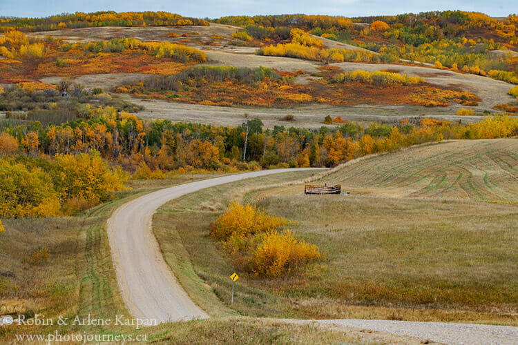 Fall colours, Thickwood Hills, Saskatchewan