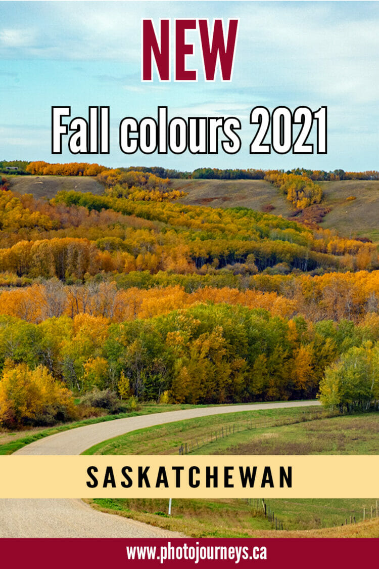 Fall colours 2021