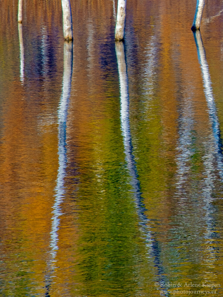 Fall colour reflections, Thickwood Hills, Saskatchewan
