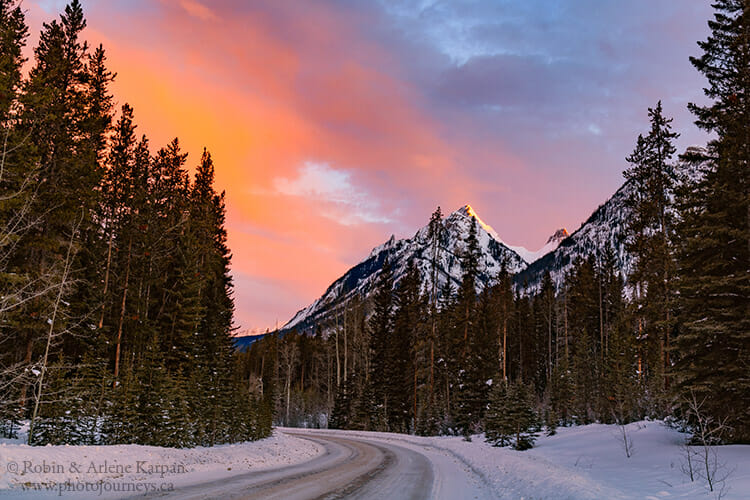 Canadian Rockies in Winter : Action Photo Tours