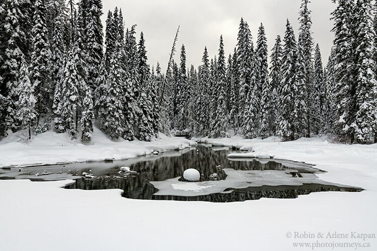 Canadian Rockies in Winter : Action Photo Tours