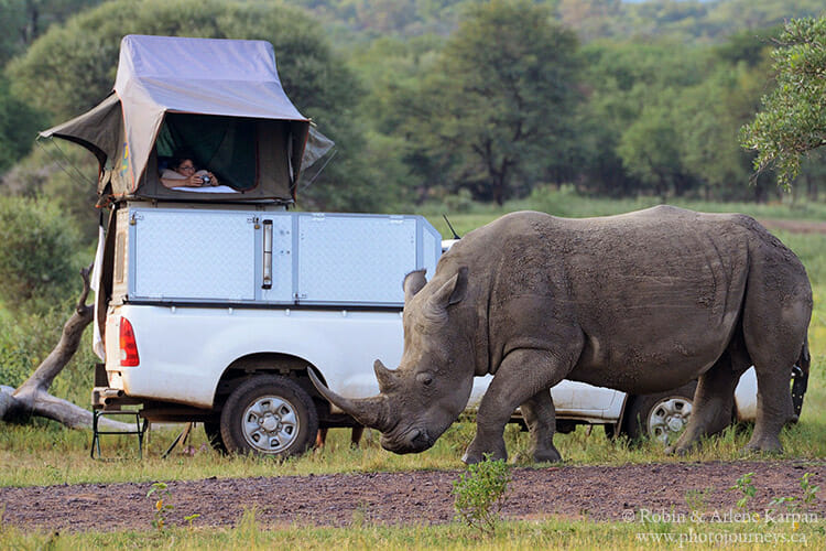 Roof-top camper, Marakele National Park, South Africa: Photojourneys.ca