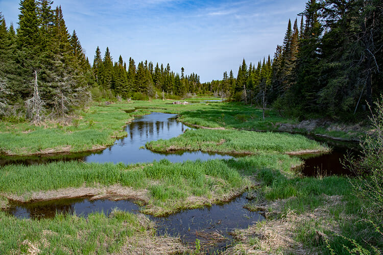 Waterways, Aiguebelle National Park, Quebec