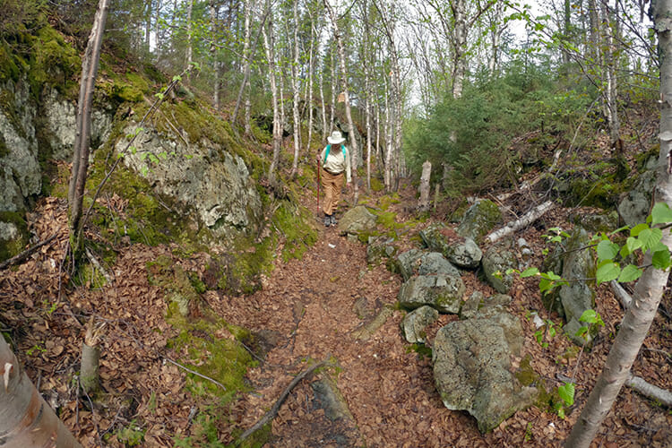 Hiking trail, Aiguebelle Park, Quebec