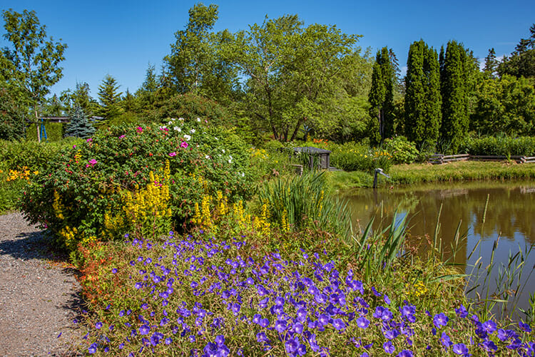 Pond at Kingsbrae Gardens, St. Andrews, New Brunswick