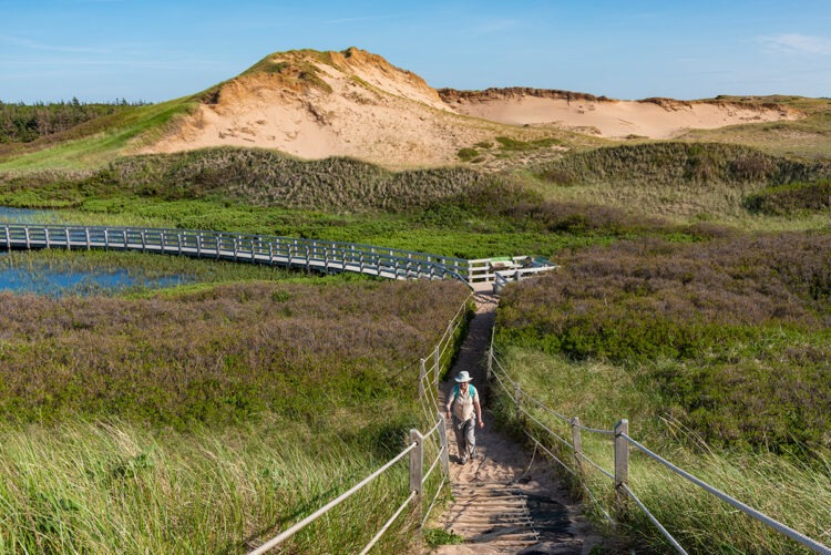 Greenwich, Prince Edward Island National Park