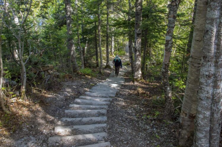 Forillon National Park, Quebec hiking trail