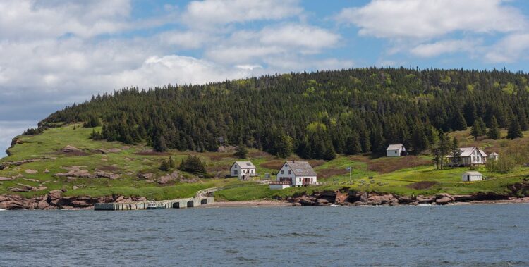 Bonaventure Island, Perce Quebec