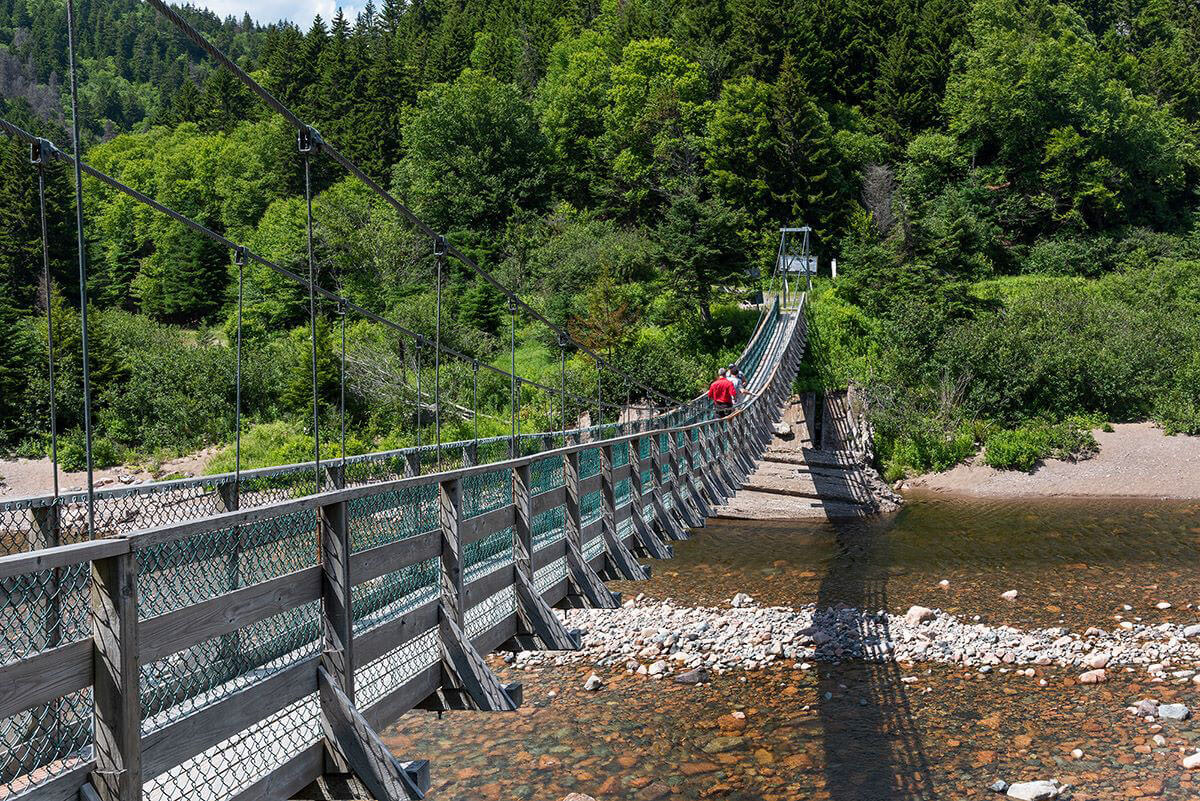 Fondo Gran Puente Sobre El Río Salmón En Fundy Trail Parkway Foto