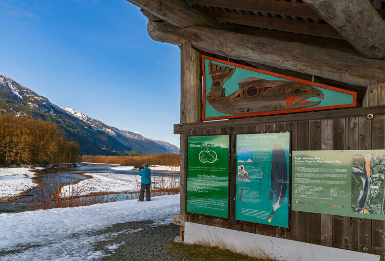 Eagle Run viewing shelter, Brackendale, BC