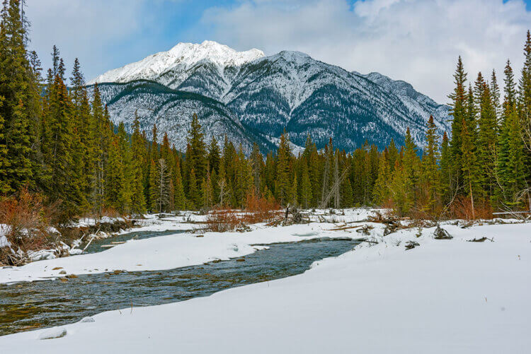 Healy creek near Banff, AB