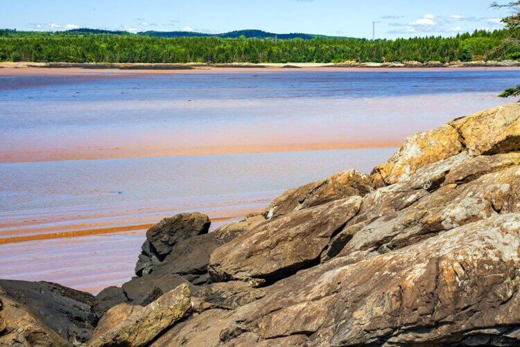Saint John, New Brunswick low tide.