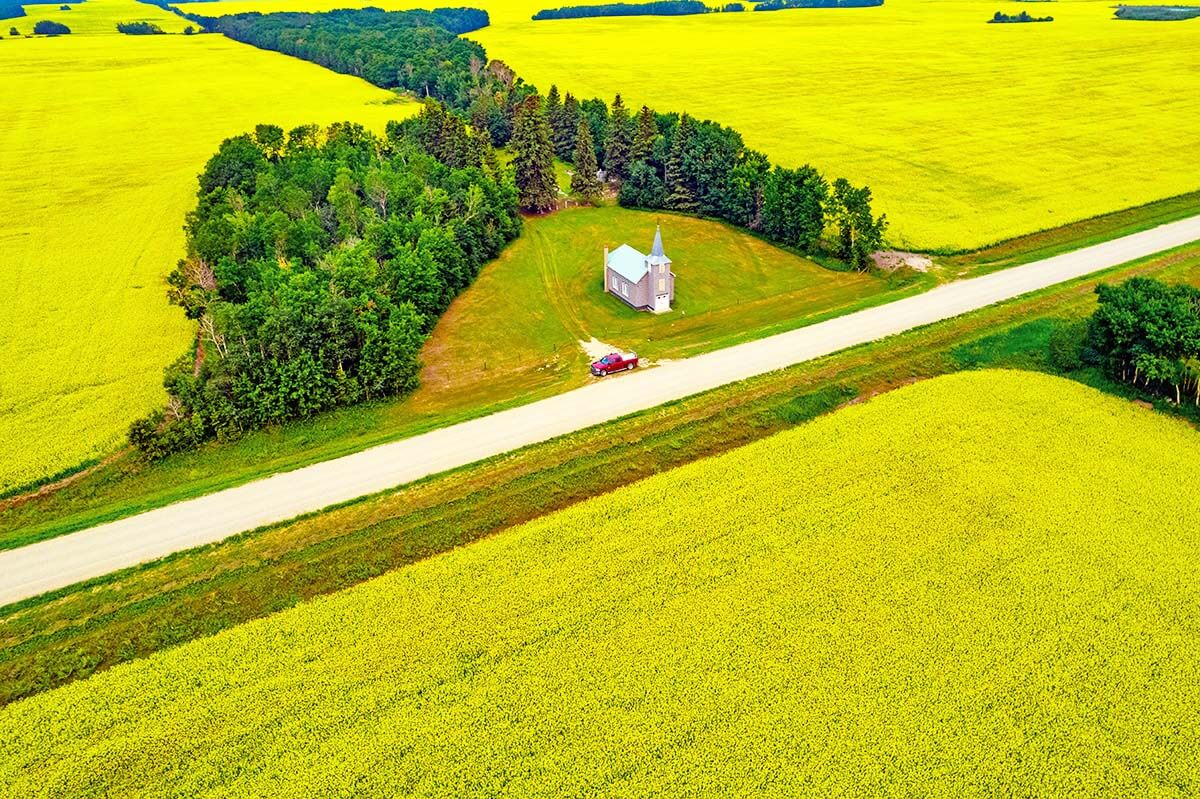 Canola fields around church