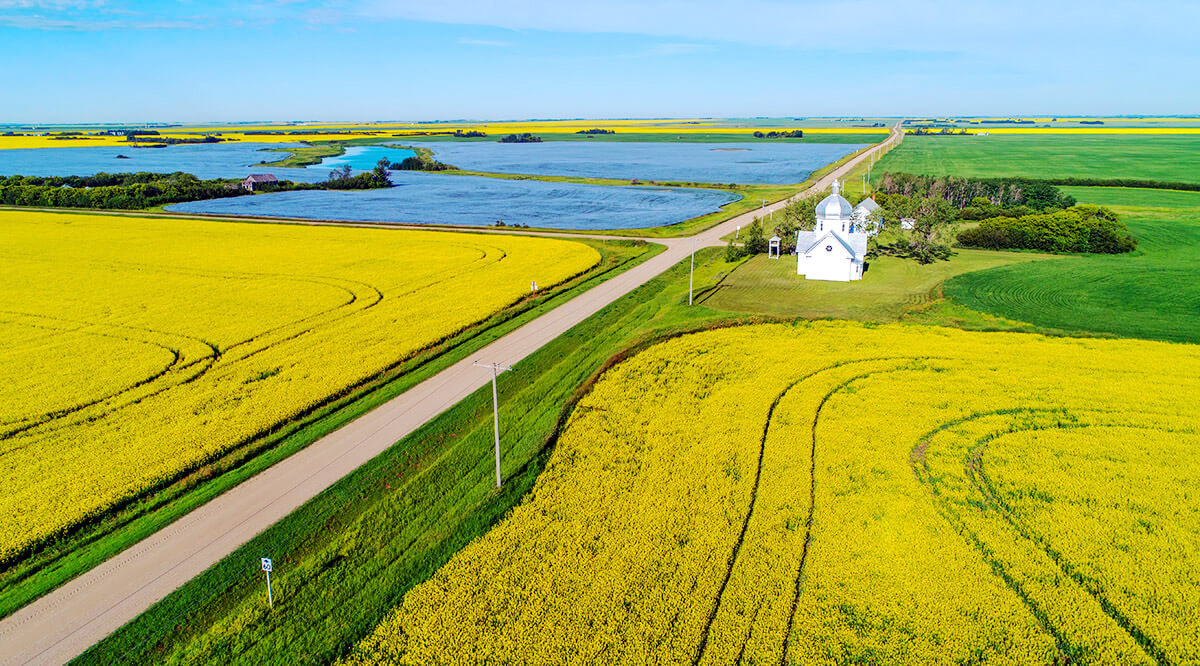 Canola and flax fields in bloom, near Smuts, Saskatchewan.