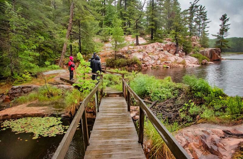 Cranberry Bog Trail, Killarney Provincial Park, Ontario