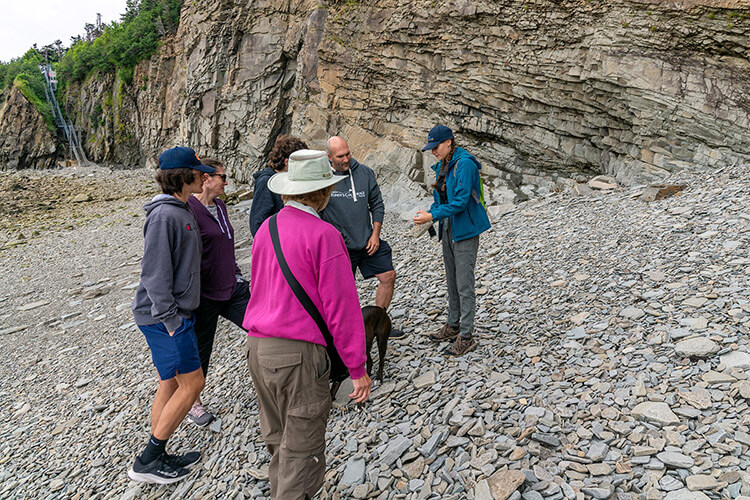 Fossil tour, Cape Enrage, New Brunswick.