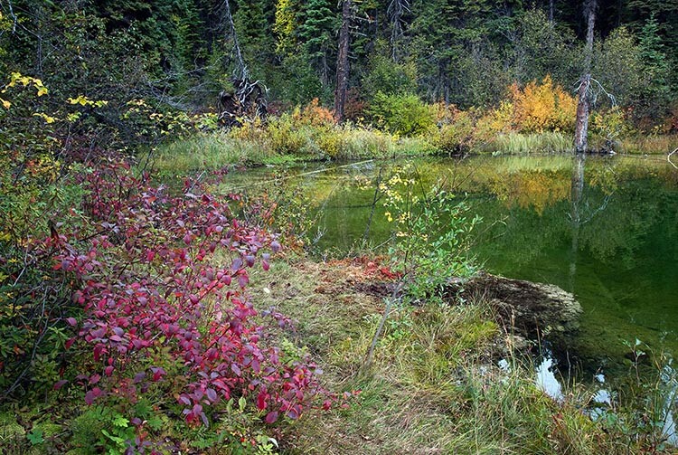 Cobb Lake, Kootenay National Park, BC